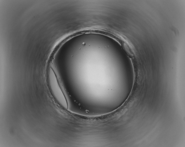 X0000111481316200907141209