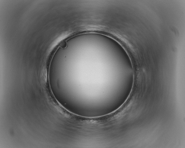X0000111481317200907141209