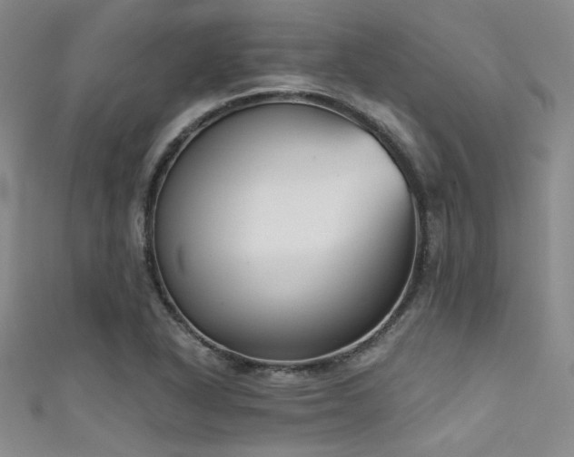 X0000111481318200907141209