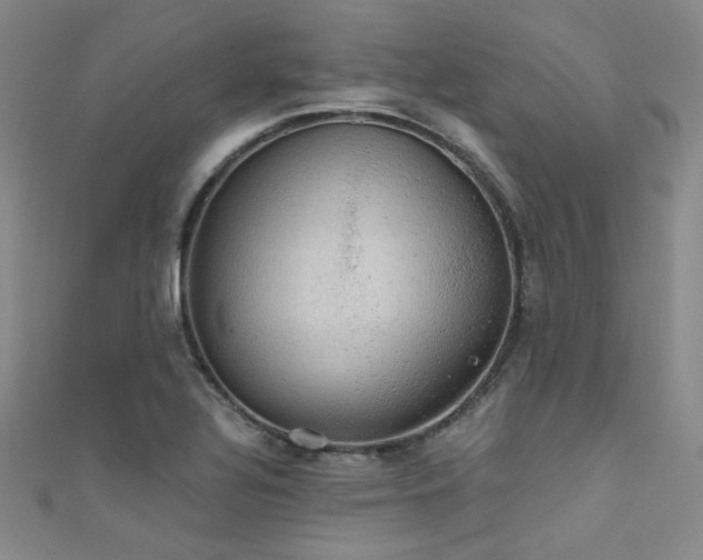 X0000111481320200907141209