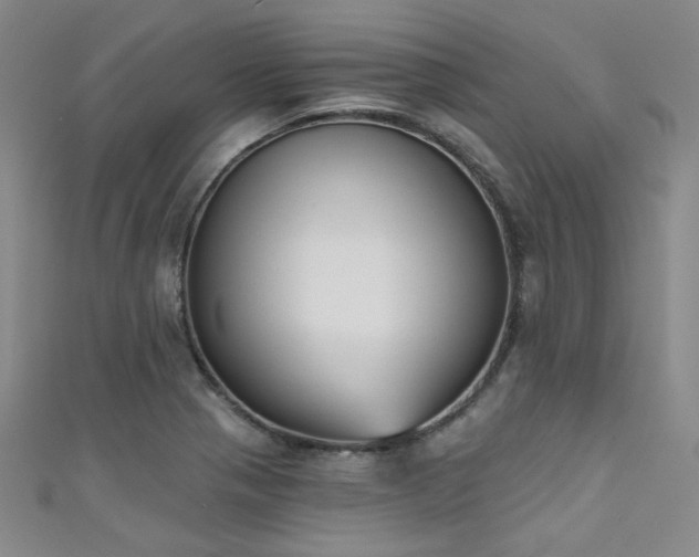X0000111481321200907141209
