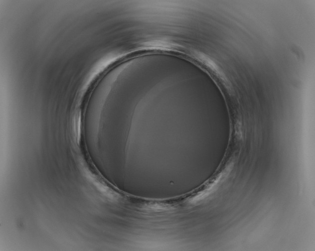 X0000111481323200907141209