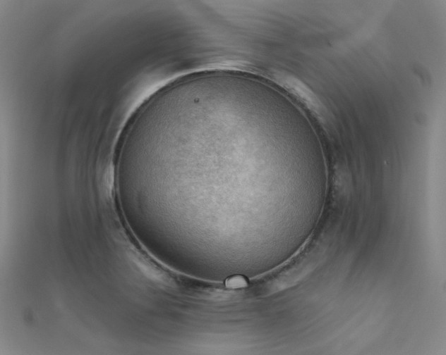 X0000111481324200907141209