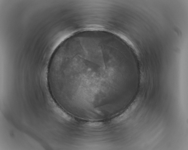X0000111481325200907141209