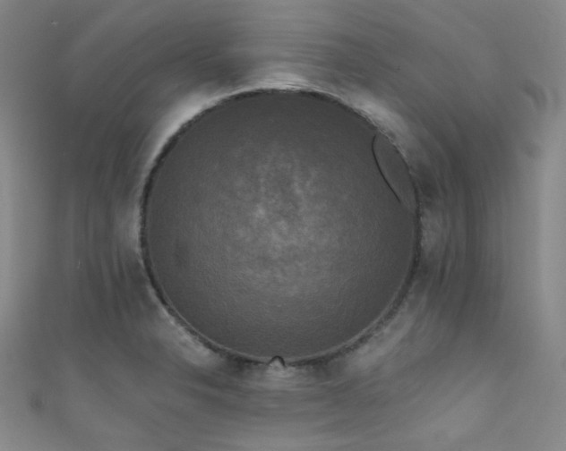 X0000111481326200907141209