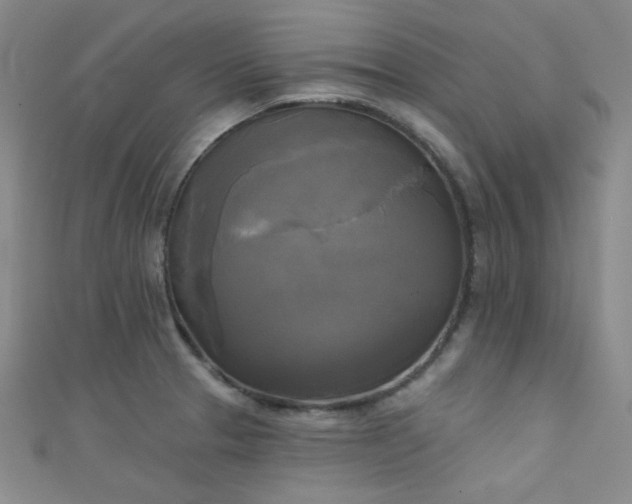 X0000111481329200907141209