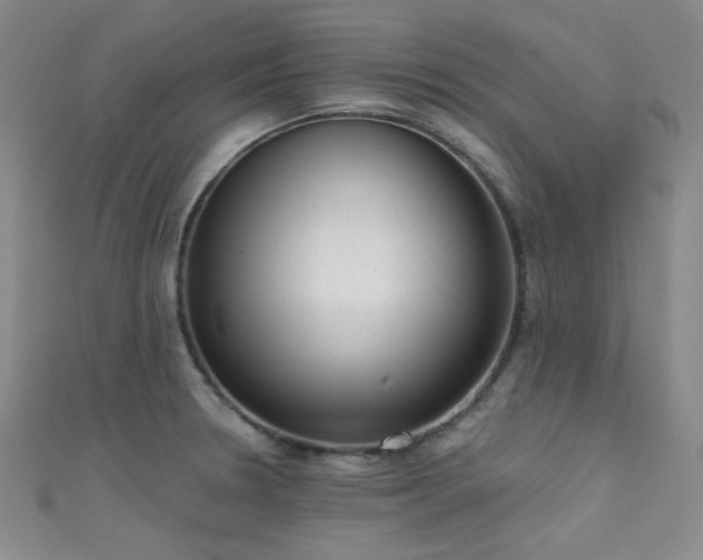 X0000111481330200907141209