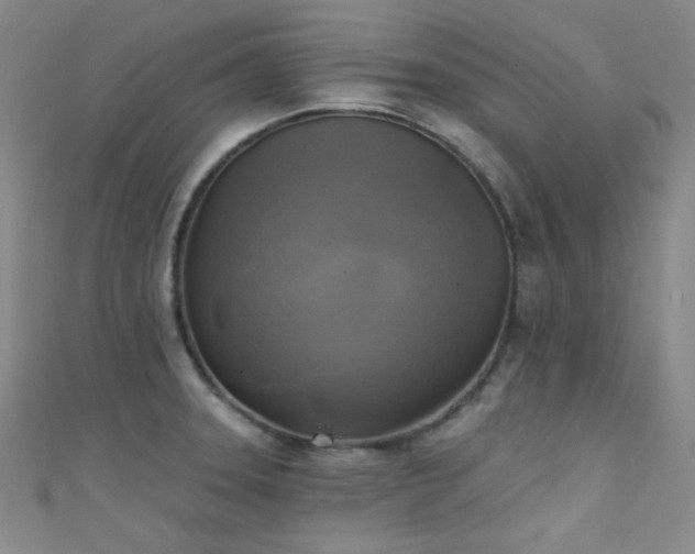 X0000111481331200907141209