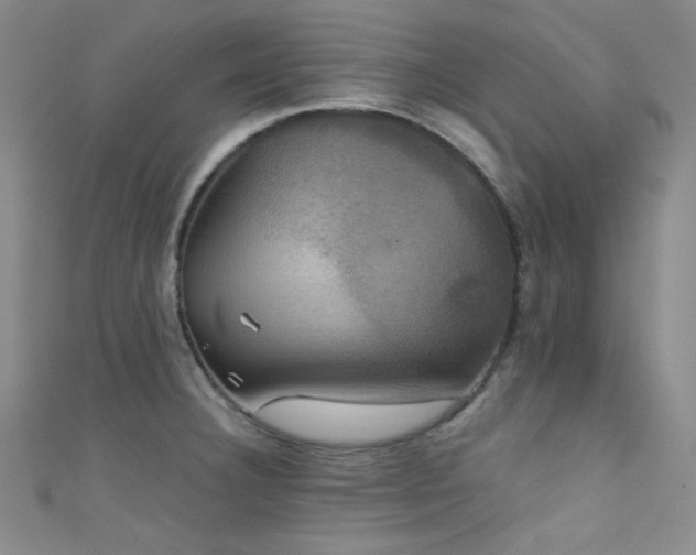 X0000111481332200907141209