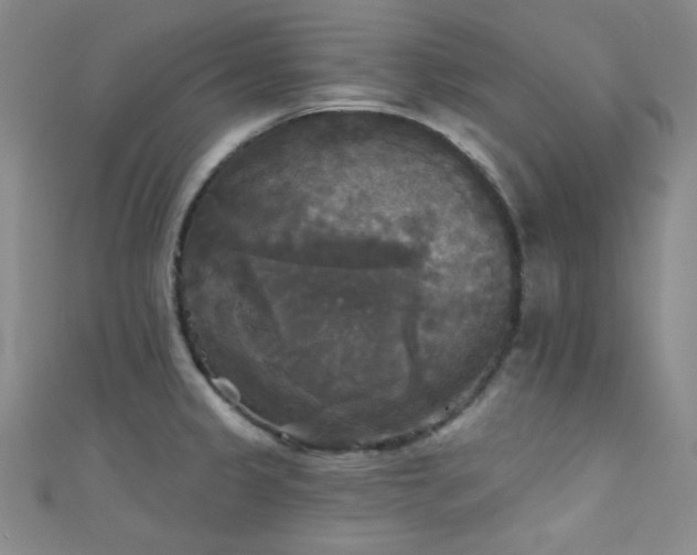 X0000111481333200907141209