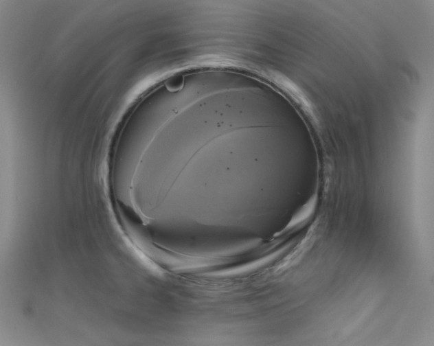 X0000111481334200907141209