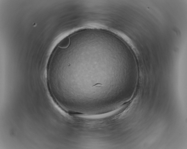 X0000111481335200907141209