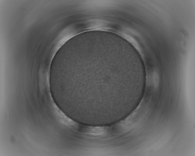 X0000111481338200907141209