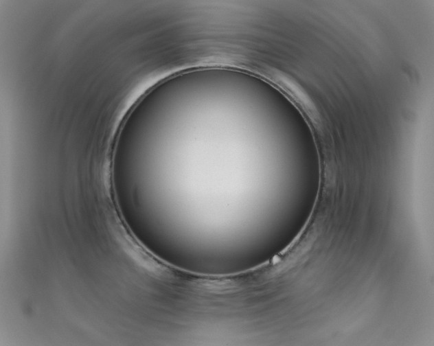 X0000111481340200907141209
