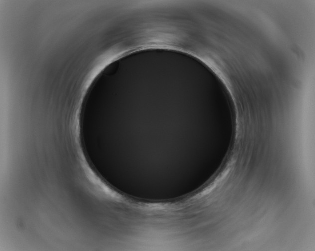 X0000111481341200907141209