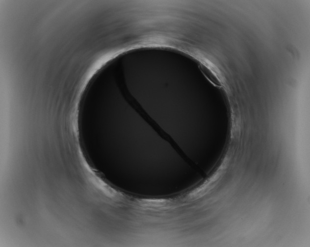 X0000111481342200907141209