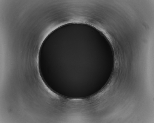 X0000111481343200907141209