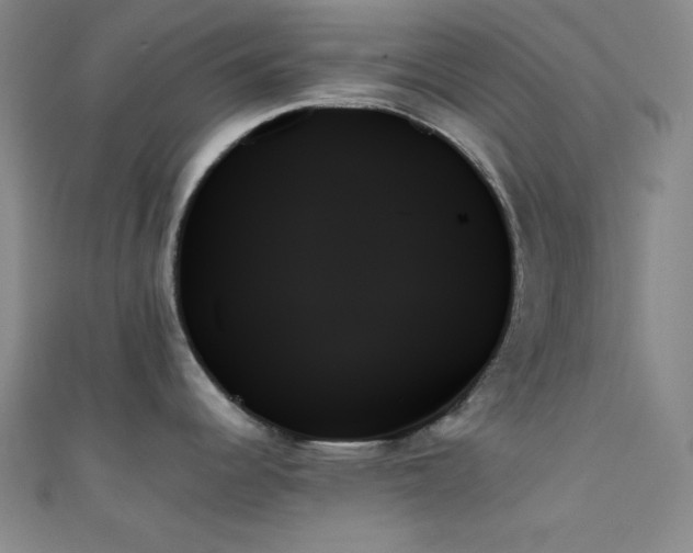 X0000111481344200907141209