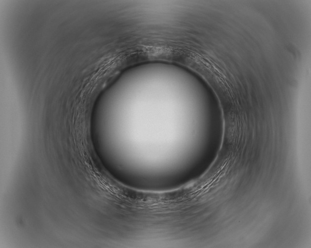 X0000111481345200907141209