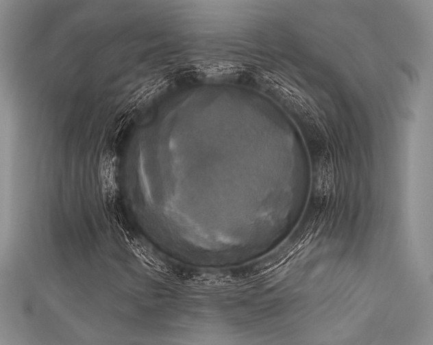 X0000111481346200907141209