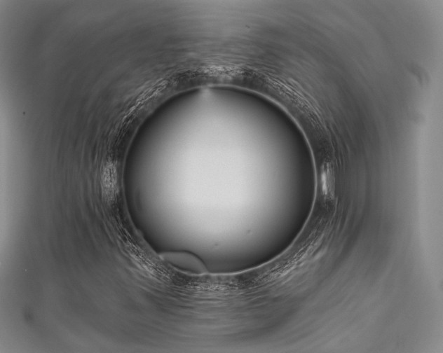 X0000111481347200907141209