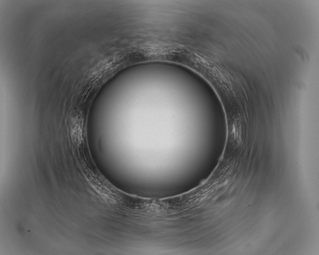 X0000111481348200907141209