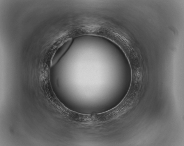 X0000111481349200907141209