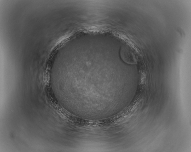 X0000111481350200907141209