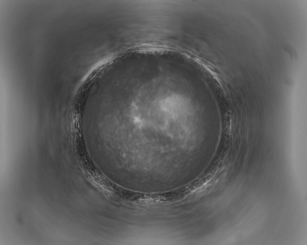 X0000111481351200907141209