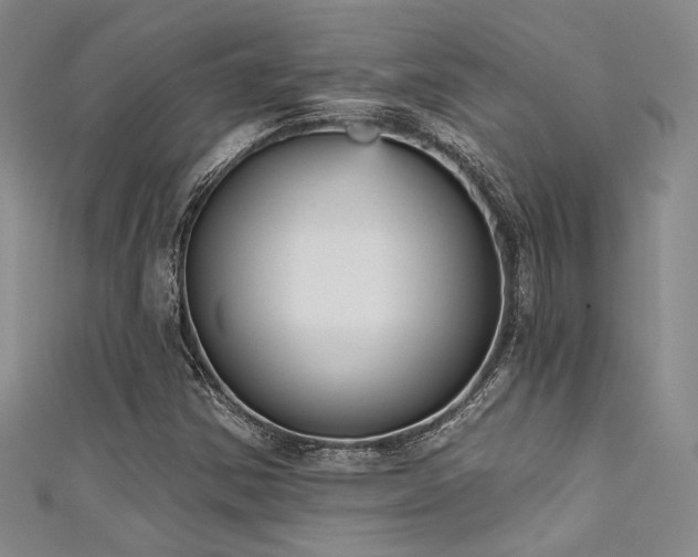 X0000111481354200907141209