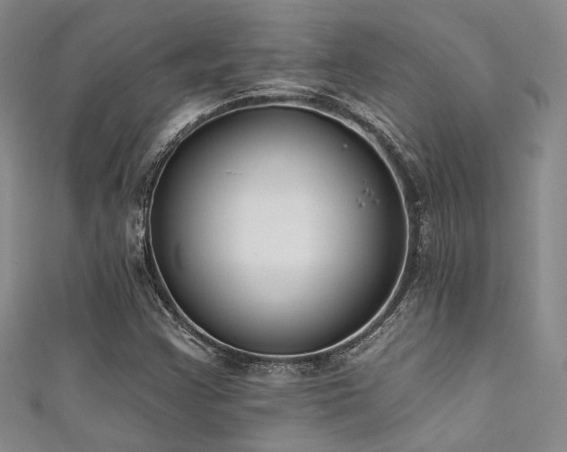 X0000111481355200907141209