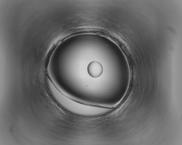 X0000111481357200907141209