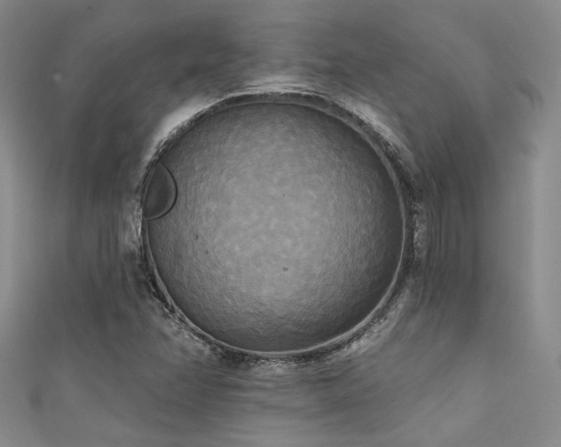 X0000111481358200907141209