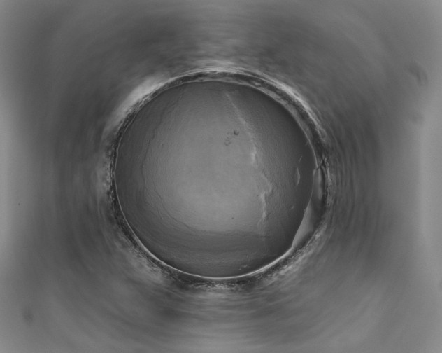 X0000111481359200907141209