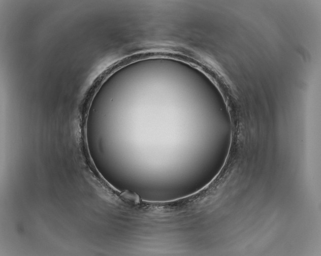 X0000111481360200907141209