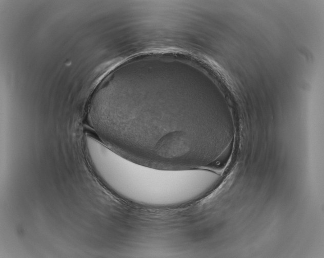 X0000111481361200907141209