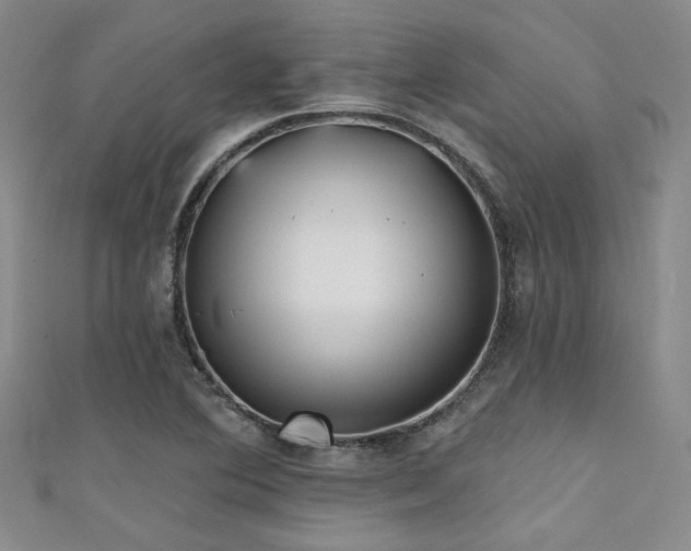 X0000111481364200907141209
