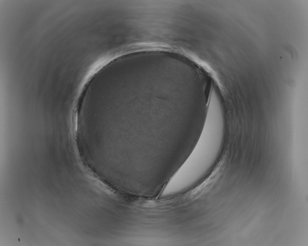 X0000111481365200907141208