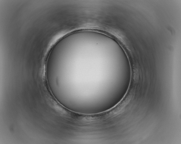 X0000111481366200907141208