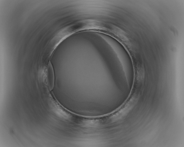 X0000111481369200907141208