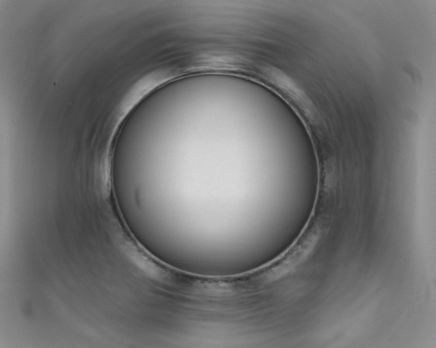 X0000111481370200907141208