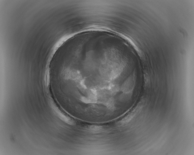 X0000111481371200907141208