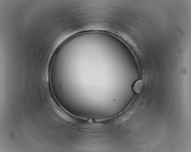 X0000111481372200907141208
