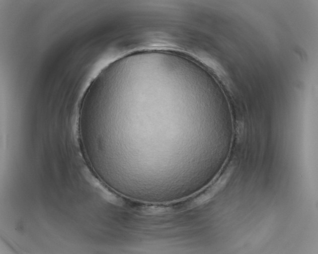 X0000111481374200907141208