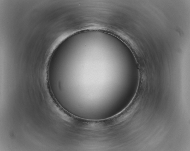 X0000111481375200907141208