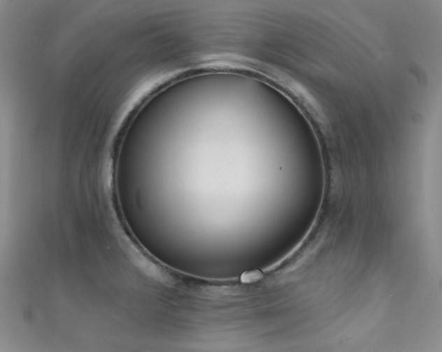 X0000111481376200907141208