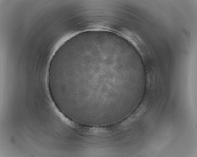X0000111481379200907141208