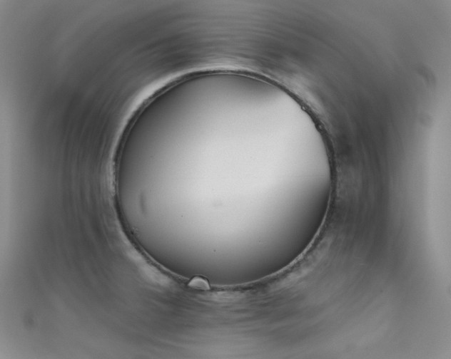 X0000111481380200907141208