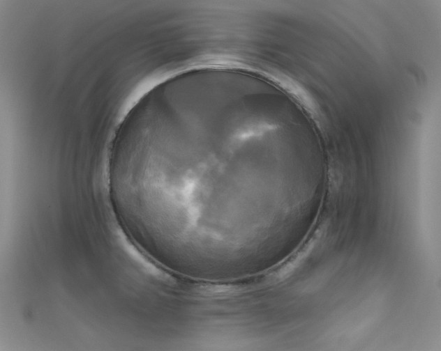 X0000111481382200907141208