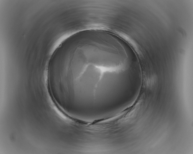X0000111481383200907141208